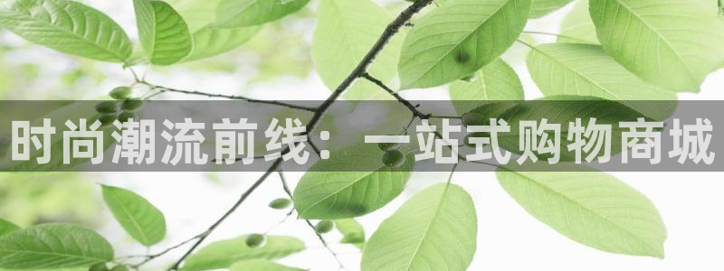 开丰娱乐官方app