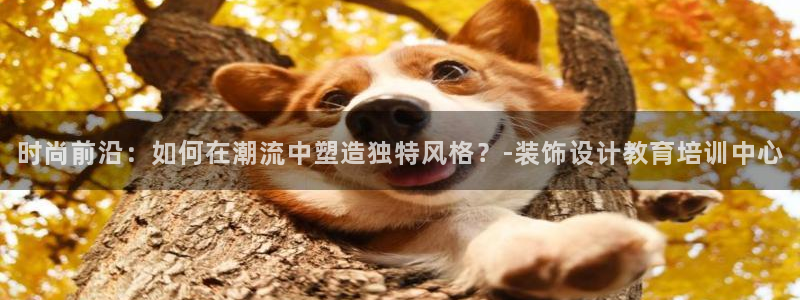 开丰娱乐登入地址是什么