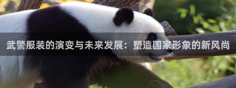 开丰娱乐登录平台