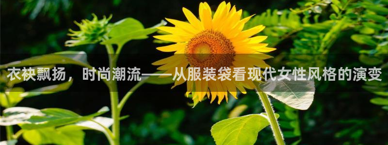 开丰娱乐不开了吗
