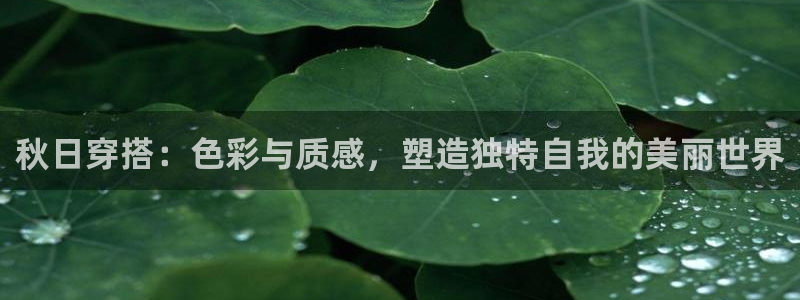 开丰娱乐姜333OO
