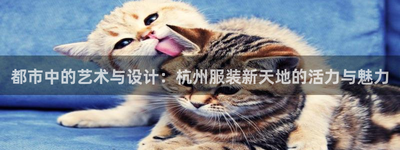 开丰娱乐官网首页