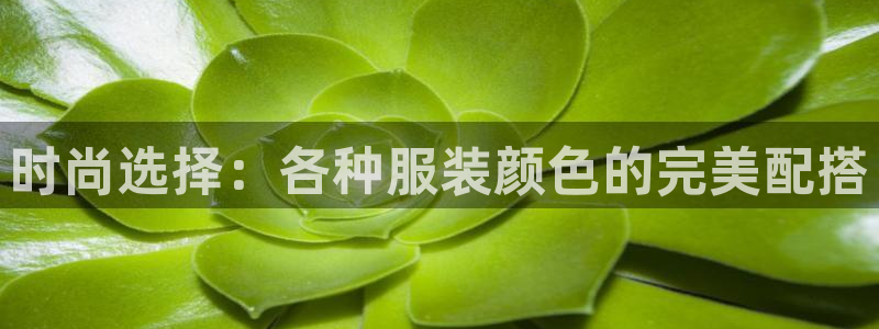 开丰娱乐姜333OO