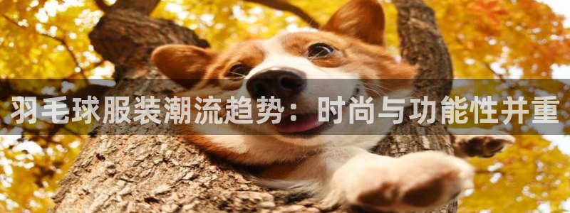 开丰娱乐登入