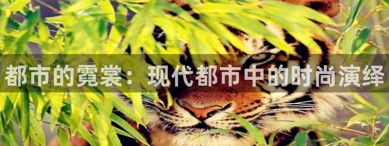 开丰娱乐登陆地址