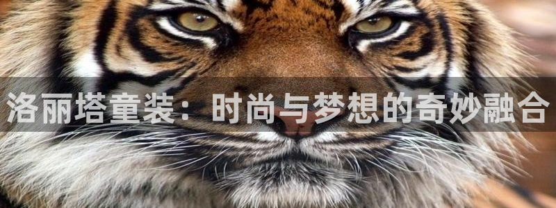 开丰娱乐下