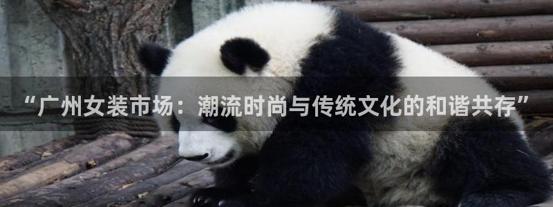 开丰娱乐更多平台
