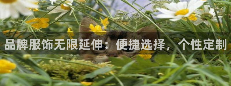 开丰娱乐后7O667