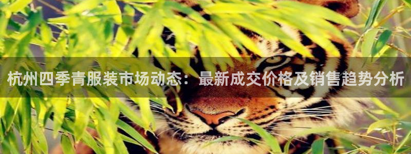 开丰娱乐平台地址查询