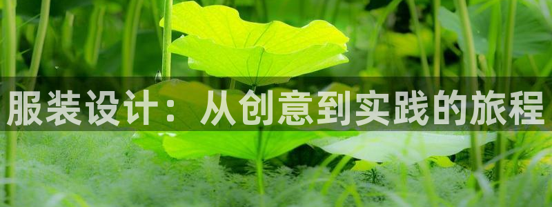 开丰娱乐日