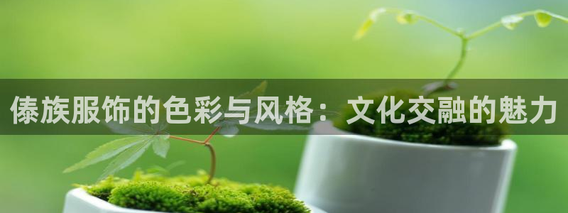 开丰娱乐下载安装