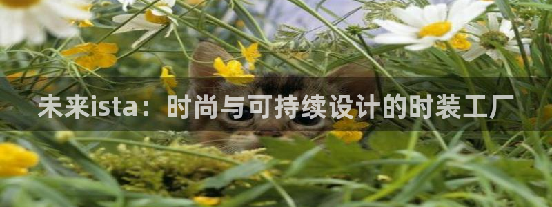 开丰娱乐后