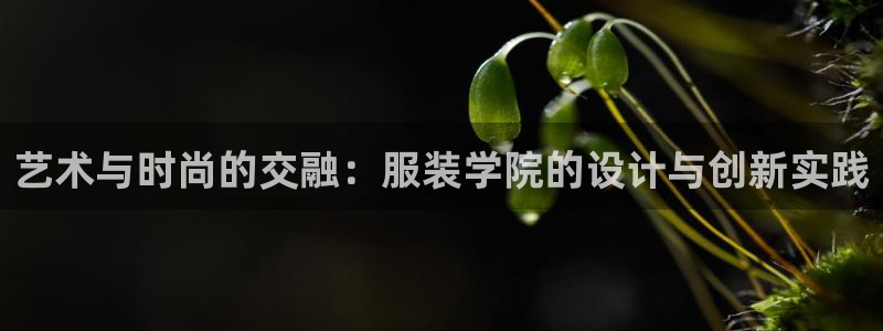 开丰娱乐下