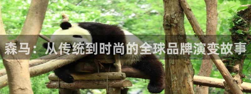 开丰娱乐平台地址电话