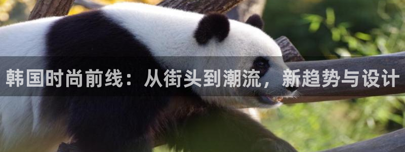 下载开丰娱乐