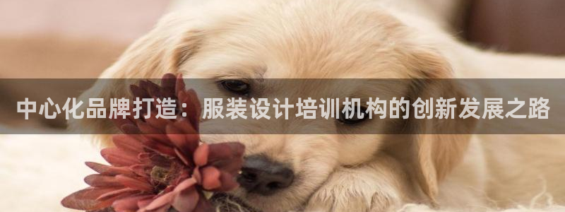 开丰娱乐除7O777