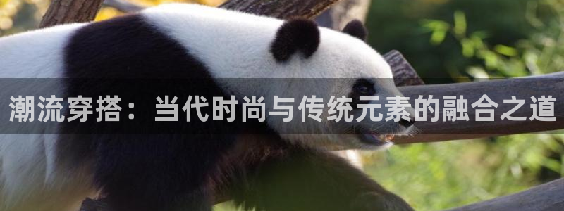 开丰娱乐主管家去判官333OO