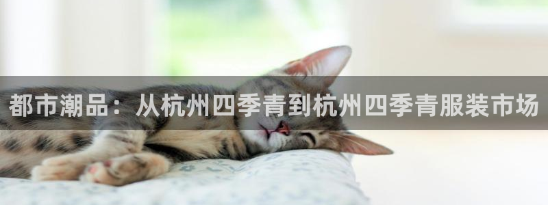 开丰娱乐万六七五一38
