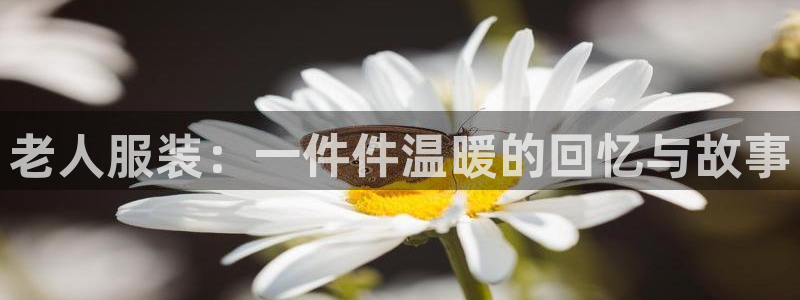 开丰娱乐登入地址