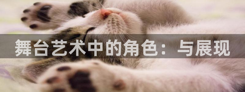 开丰娱乐网站