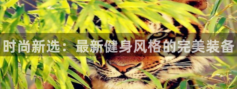 开丰娱乐主管