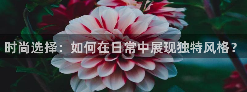 开丰娱乐登入地址