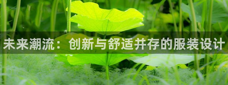 开丰娱乐更多平台
