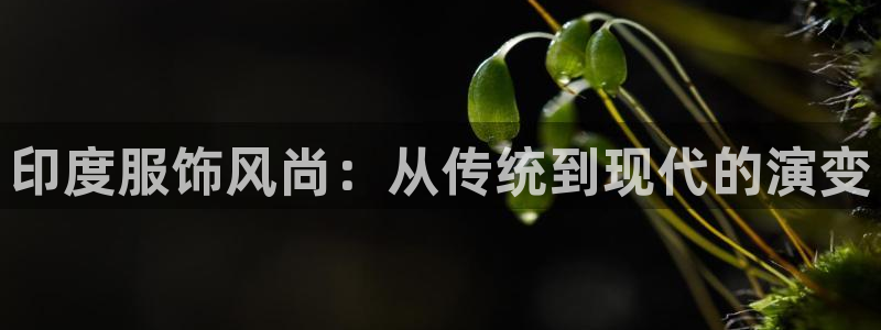 开丰娱乐平台官网网址