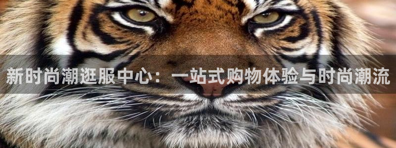 开丰娱乐官网平台网址