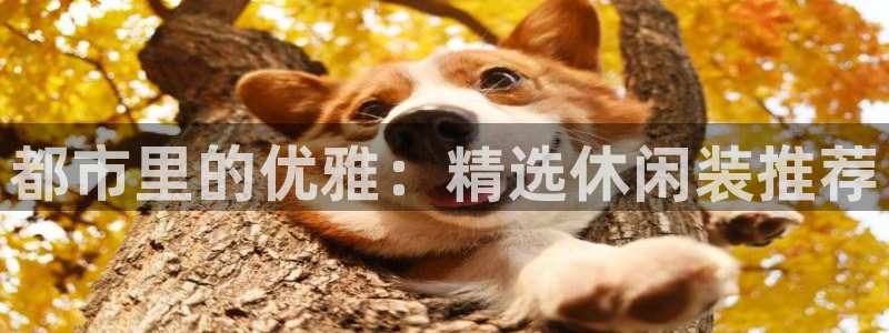 开丰娱乐怎么开转点