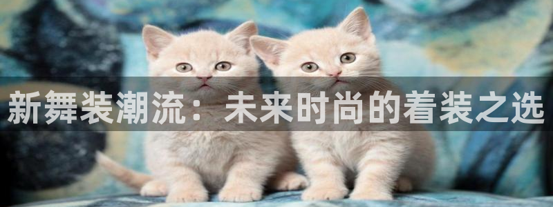 开丰娱乐地址查询