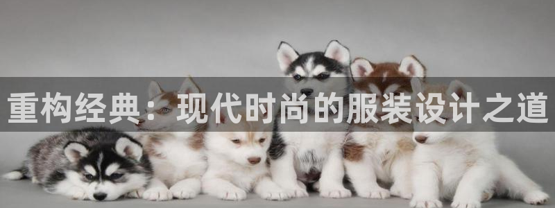 开丰娱乐平台地址查询