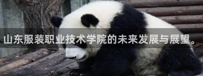 开丰娱乐若七九九
