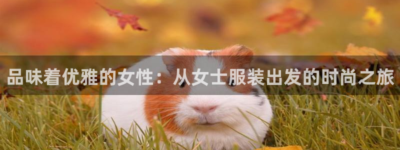开丰娱乐更多平台