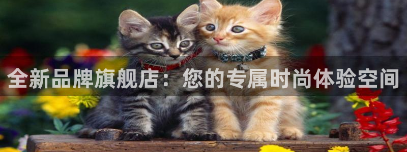开丰娱乐不开了吗