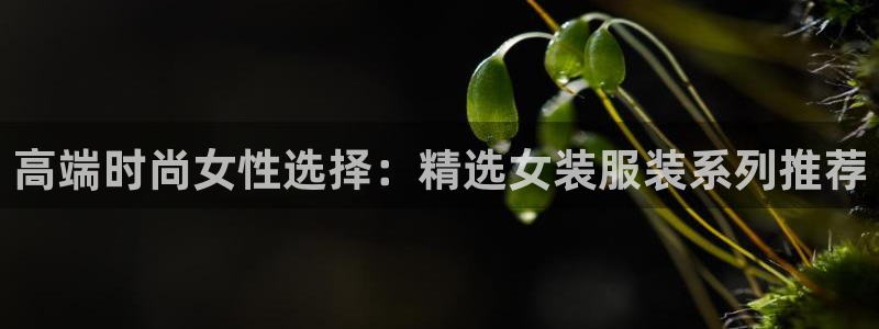 开丰娱乐上