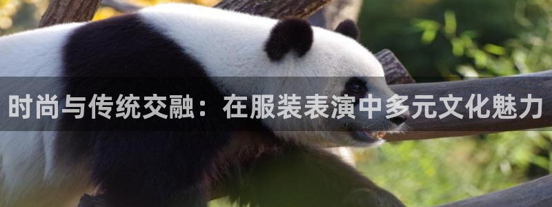 开丰娱乐平台登录网址