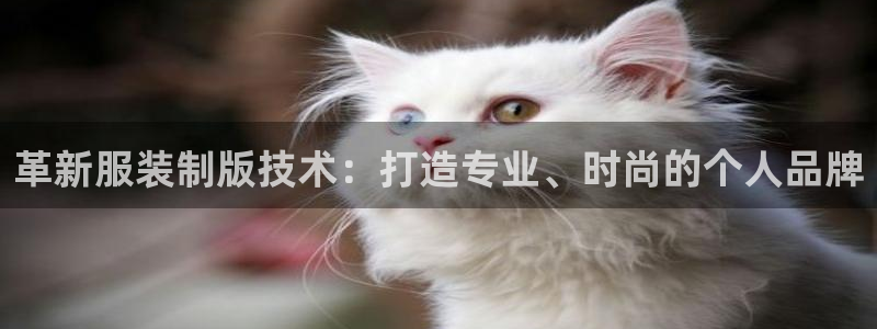 开丰娱乐登录平台