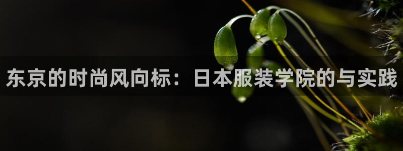 开丰娱乐平台登录网址