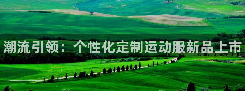 开丰娱乐平台注册