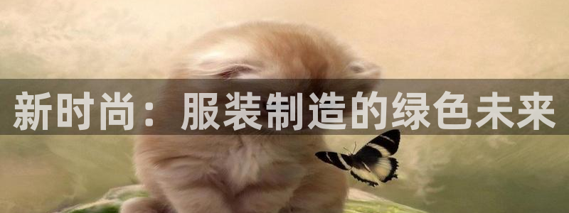 开丰娱乐平台登录网址