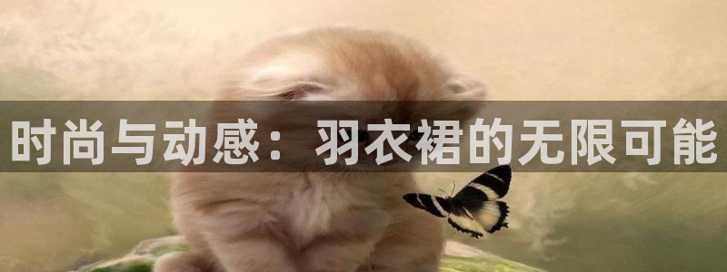 开丰娱乐登录地址入口