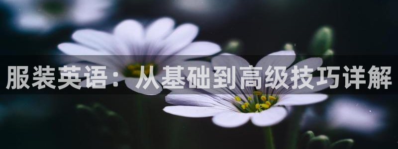 开丰娱乐登入地址在哪查