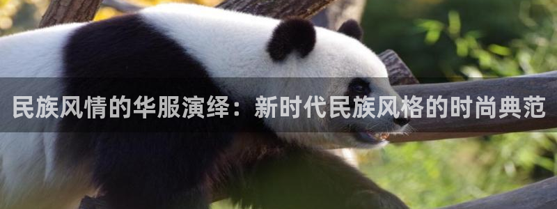 开丰娱乐网站官网首页