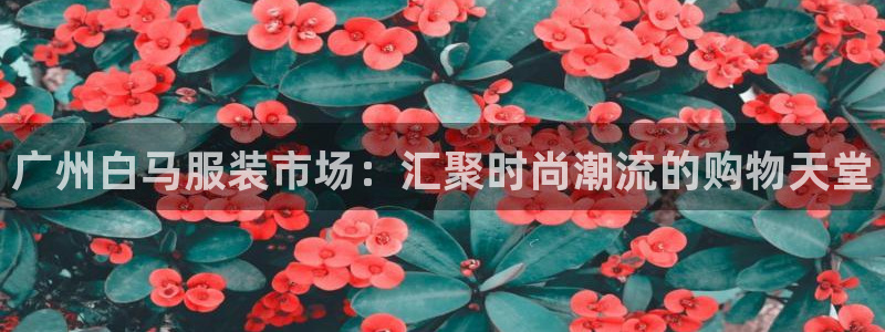 开丰娱乐日7O667