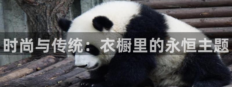 开丰娱乐网官网注册入口