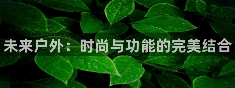 开丰娱乐官网