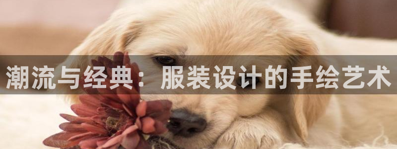 开丰娱乐登入地址在哪里