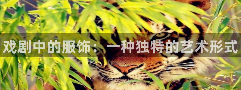 开丰娱乐予 7O935