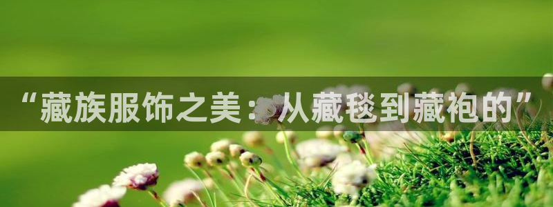 开丰娱乐官网首页